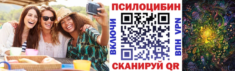 Псилоцибиновые грибы мухоморы Каргополь