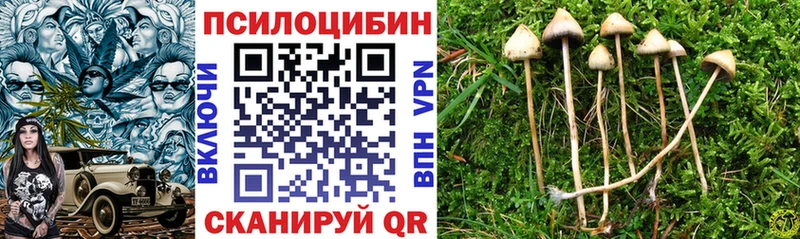 Псилоцибиновые грибы Cubensis  Купить  Каргополь 